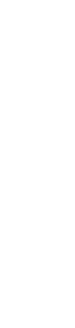 最高級が最高級を